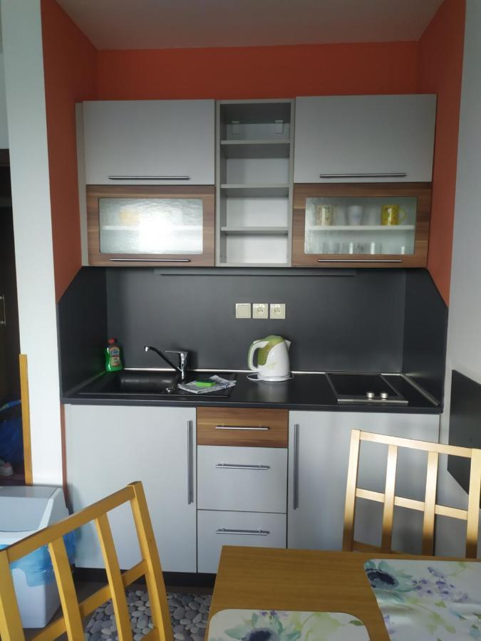 Studio Kinga Aparthotel วิสโซเค ดาตรี ภายนอก รูปภาพ